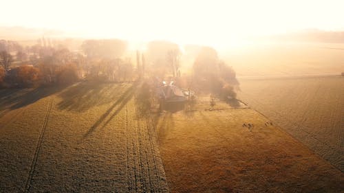 Drone Footage of Farmland During Daytime 