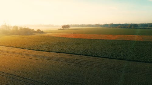 Drone Footage of Field During Daytime 