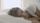 sleeping woman