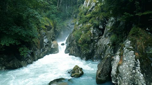 A Flowing River in the Forest