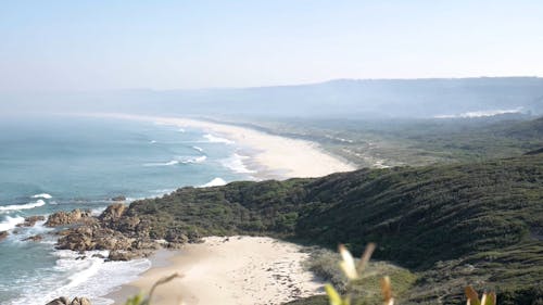 Aerial View of the Beach Coast