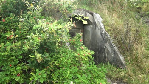 An Ancient Bunker