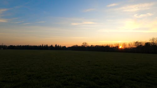 Golden Hour at Farmlands