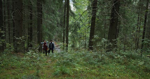 A Couple Hiking in a Forest