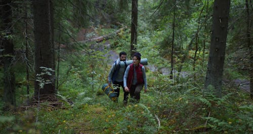 A Couple Hiking in a Forest