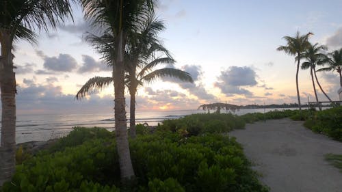 Sunset View by the Beach