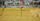 funny zoom background