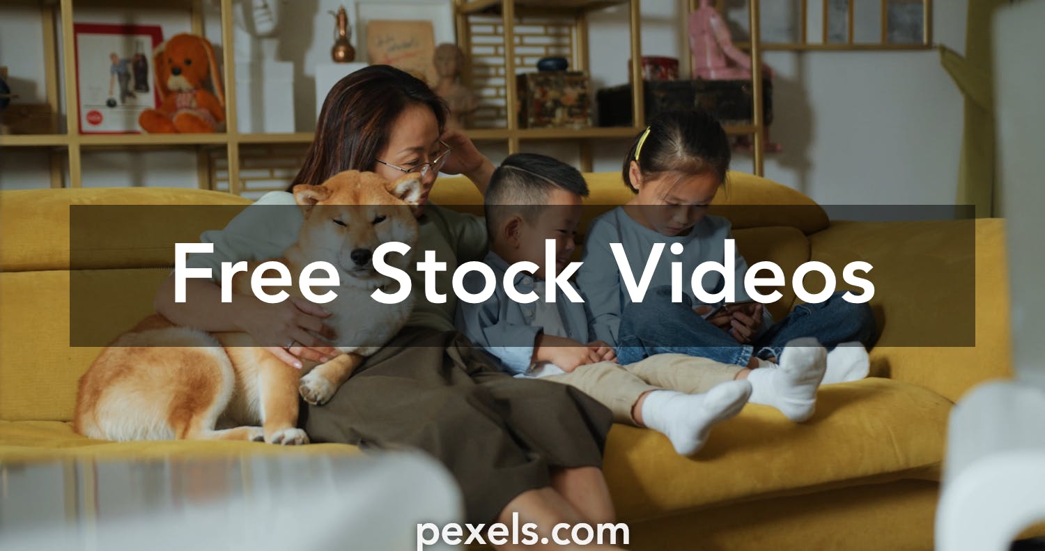 260,900+ Asian Family Stock Videos and Royalty-Free Footage