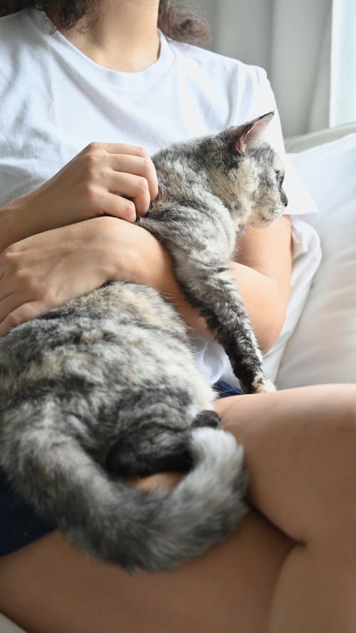 Person Cuddling Her Cat