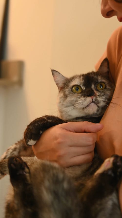 Woman Cuddling Her Cat