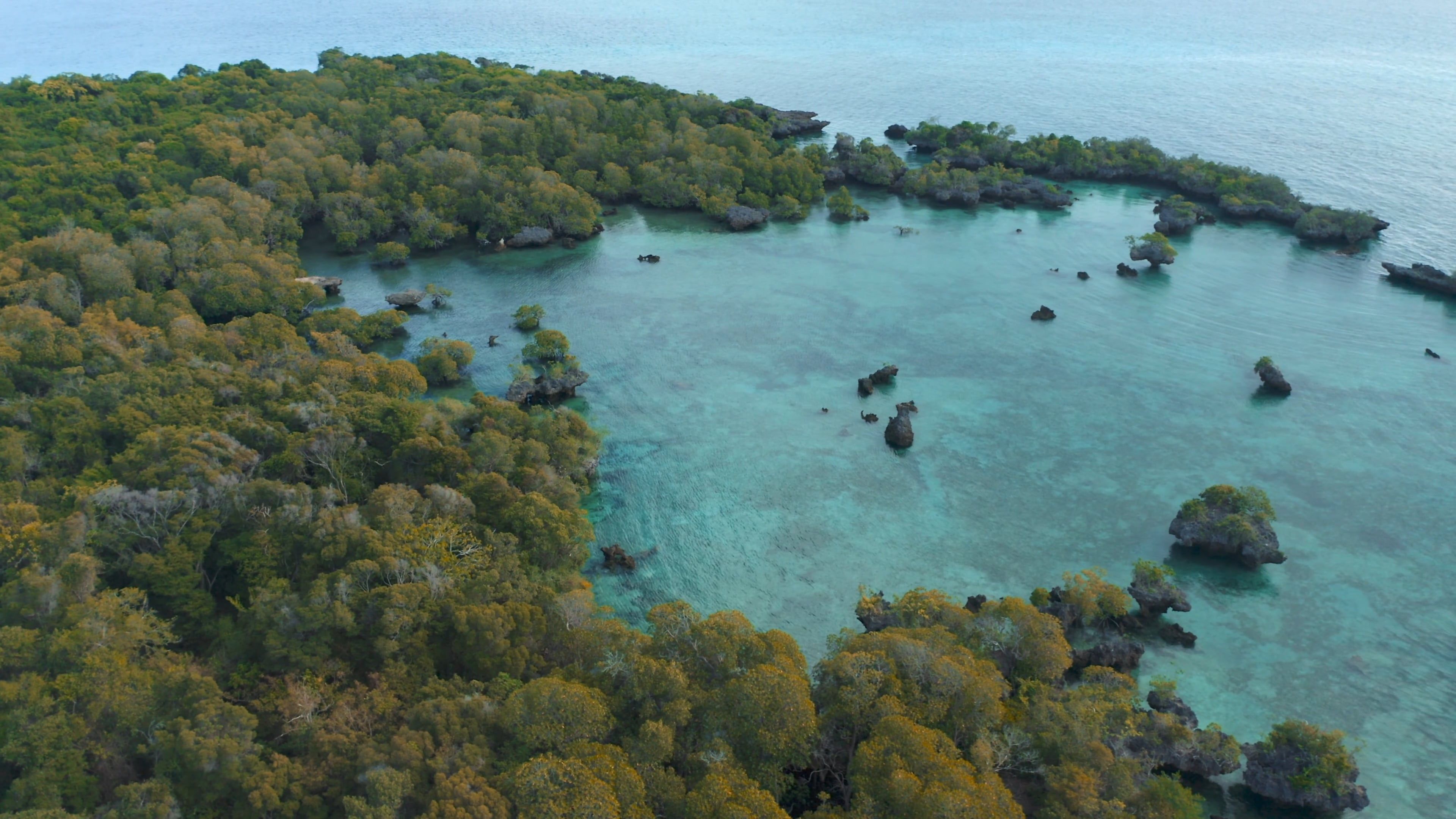 Beautiful Scenery of a Tropical Island Free Stock Video Footage ...
