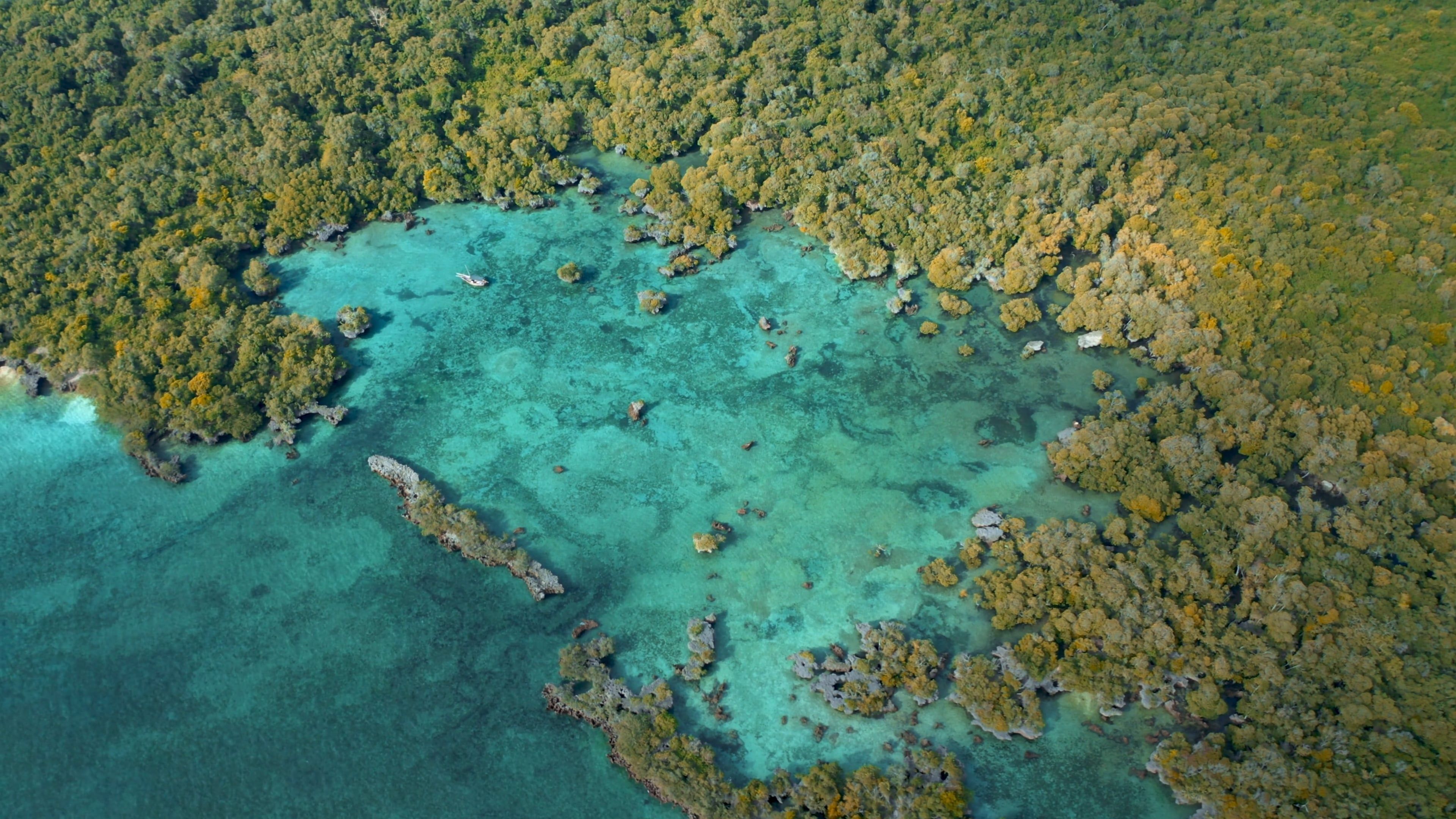 An Aerial Footage of an Island Free Stock Video Footage, Royalty-Free ...