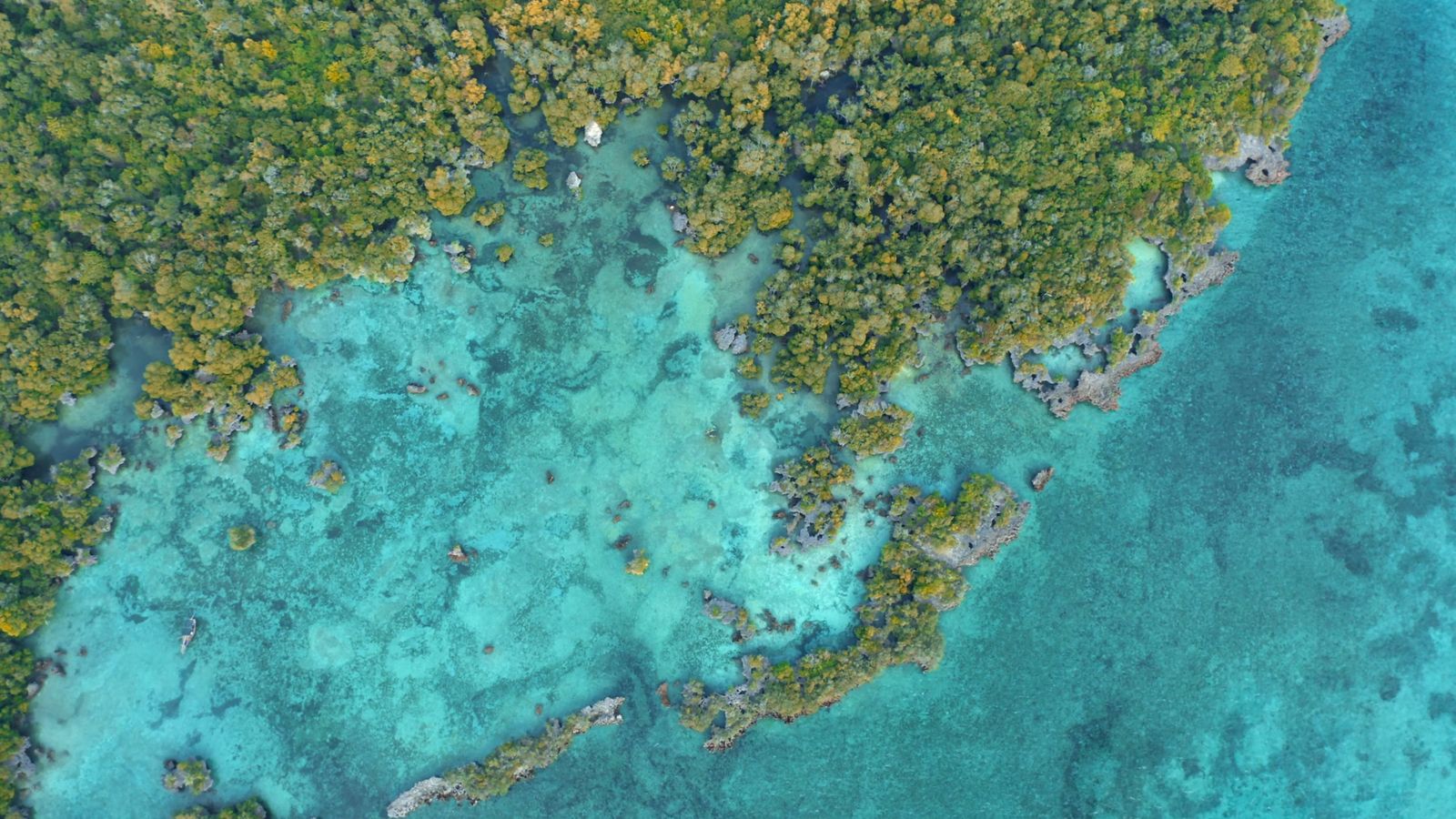 Landscape View Video Aerial Video of a Beautiful Landscape Free Stock Video Footage, Royalty ...