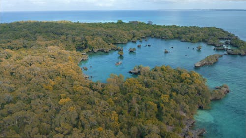 Aerial Shot of an Island