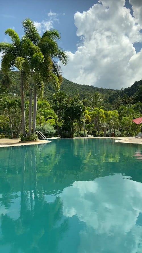 A View of the Swimming Pool in a Resort