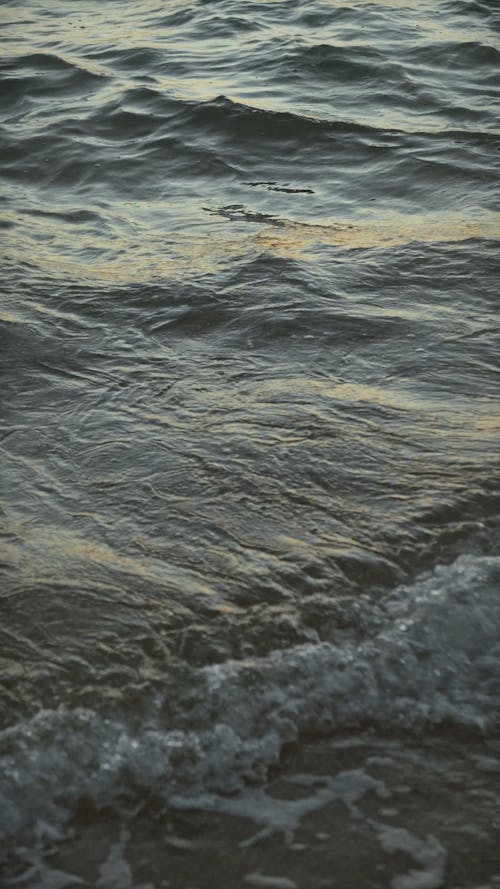 Waves Crashing on Beach Shore