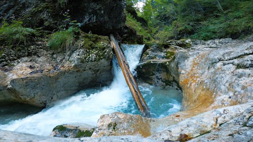 Forest River Flowing Through Rocks 