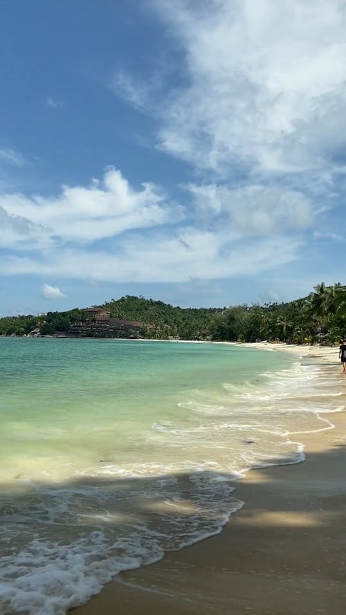 Tropical Sandy Beach