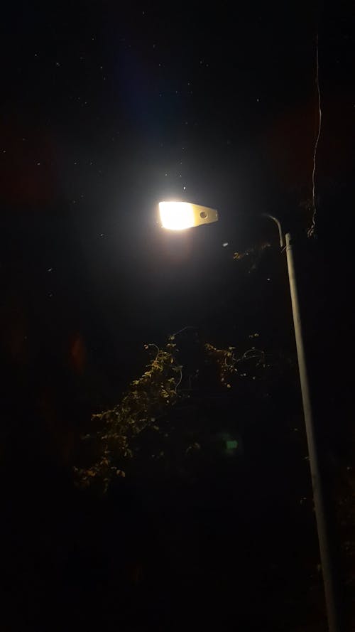 Lamp Post During Night