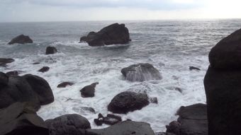 海边免费下载免费下载高清视频高清视频视频素材