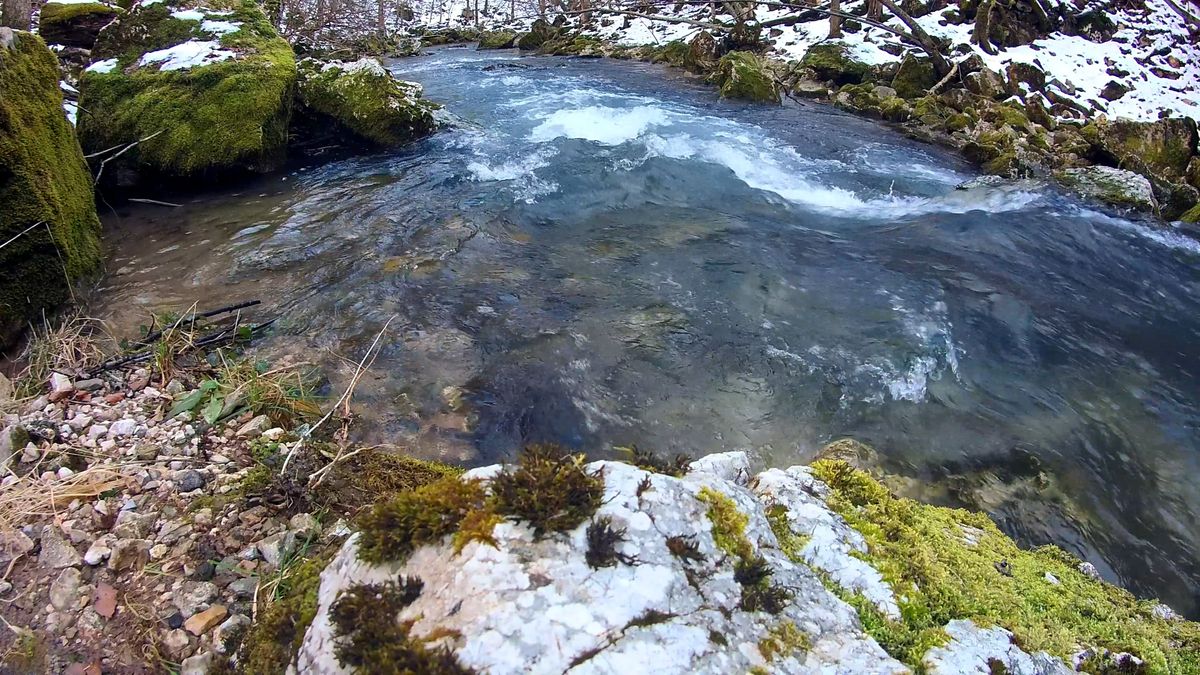 Low Angle Shot of Water Flowing in the River Free Stock Video Footage ...