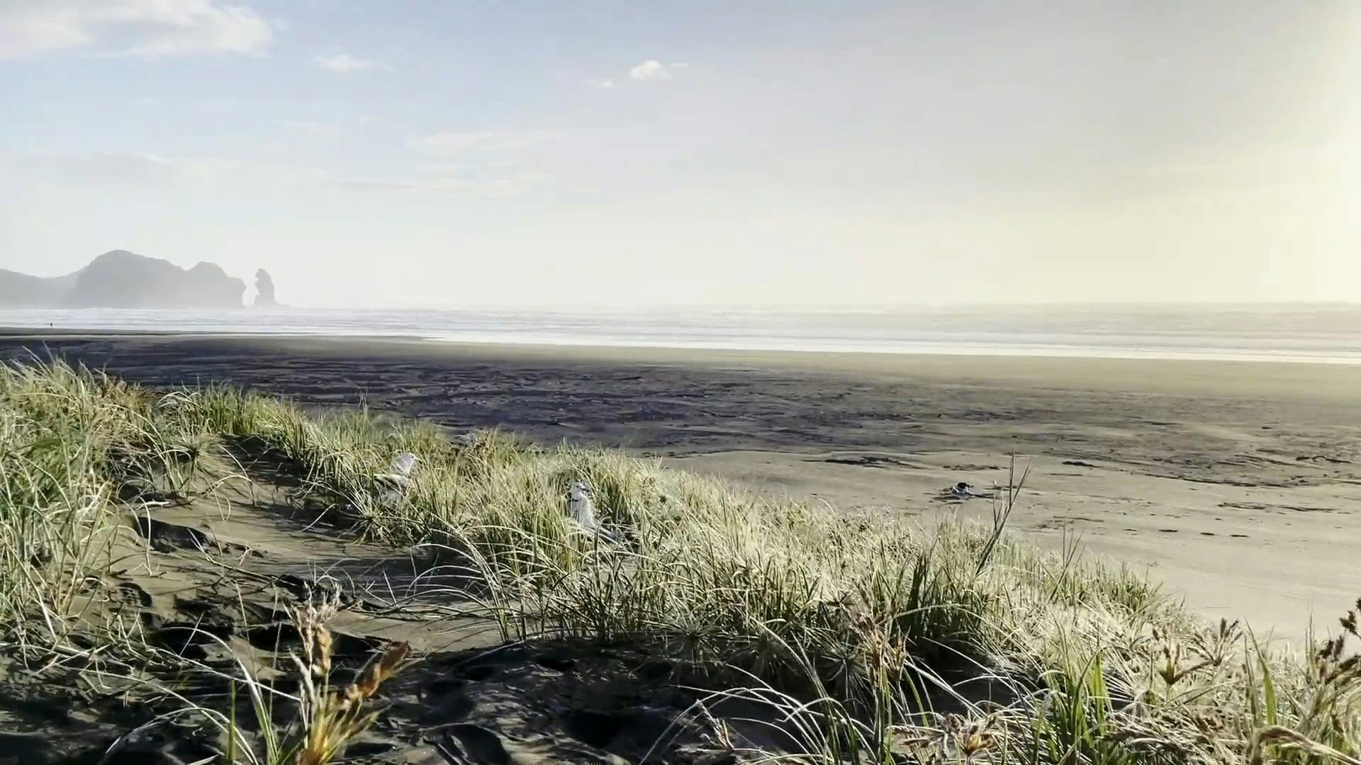 Blades Of Grass · Kho video miễn phí