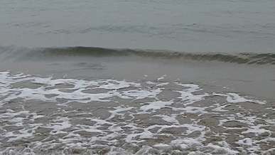 gentle waves crashing on seashore