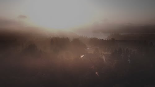 Foggy Forest and Open Fields