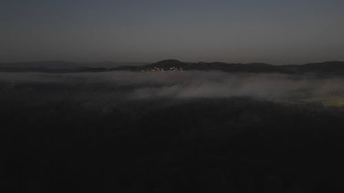 Clouds and Forest Seen From Above