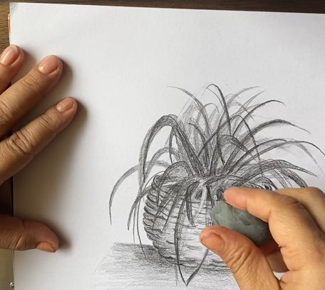 Drawing Without Color Photos, Download The BEST Free Drawing Without Color Stock Photos & HD Images