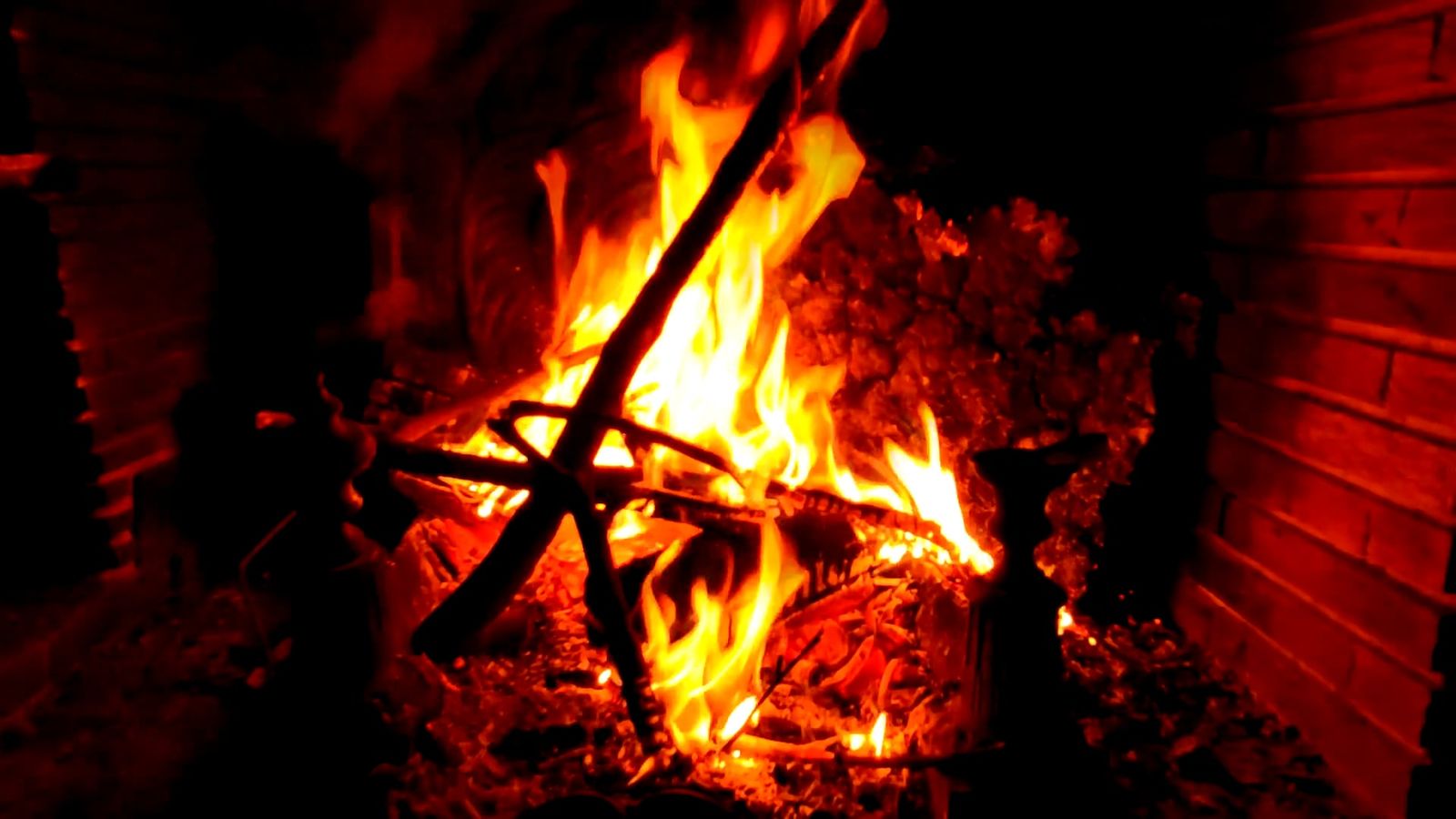 Close Up Shot of Burning Fire Woods Free Stock Video Footage, Royalty ...