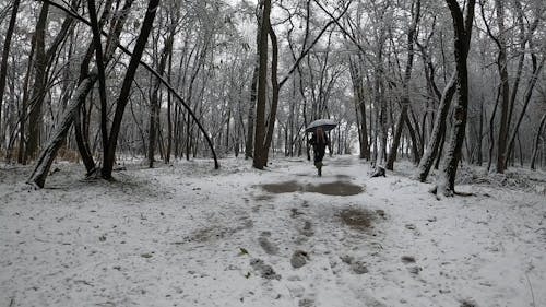 A Man Walking In The Snowy Forest