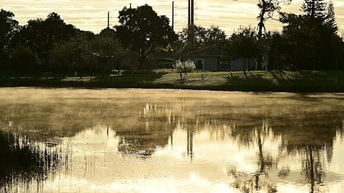 A Foggy Morning at a Lake