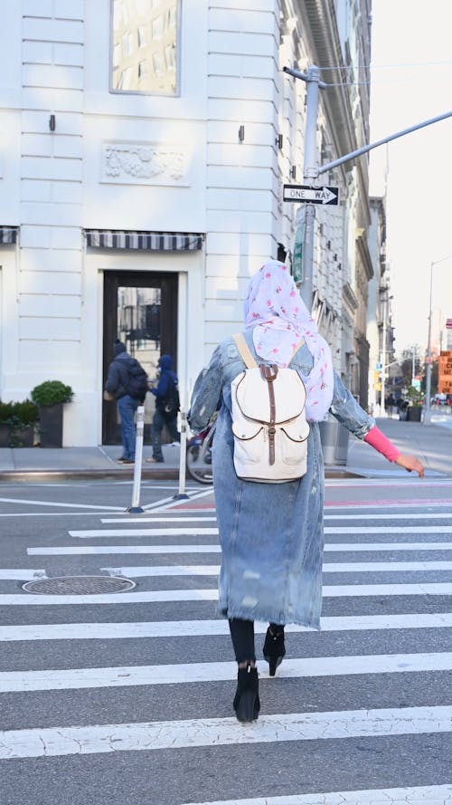 Pedestrian Crossing the Street