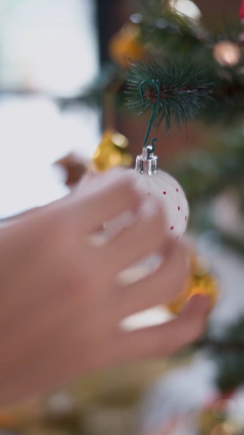 Close-up Shot of a Christmas Ball Hanging on a Christmas Tree