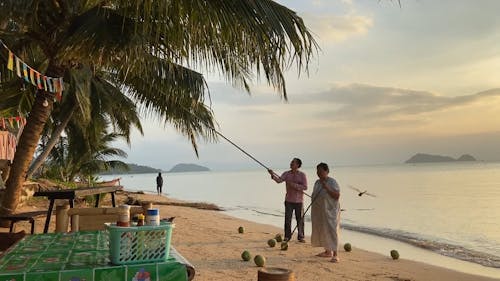 Man Picking Coconut from Tree