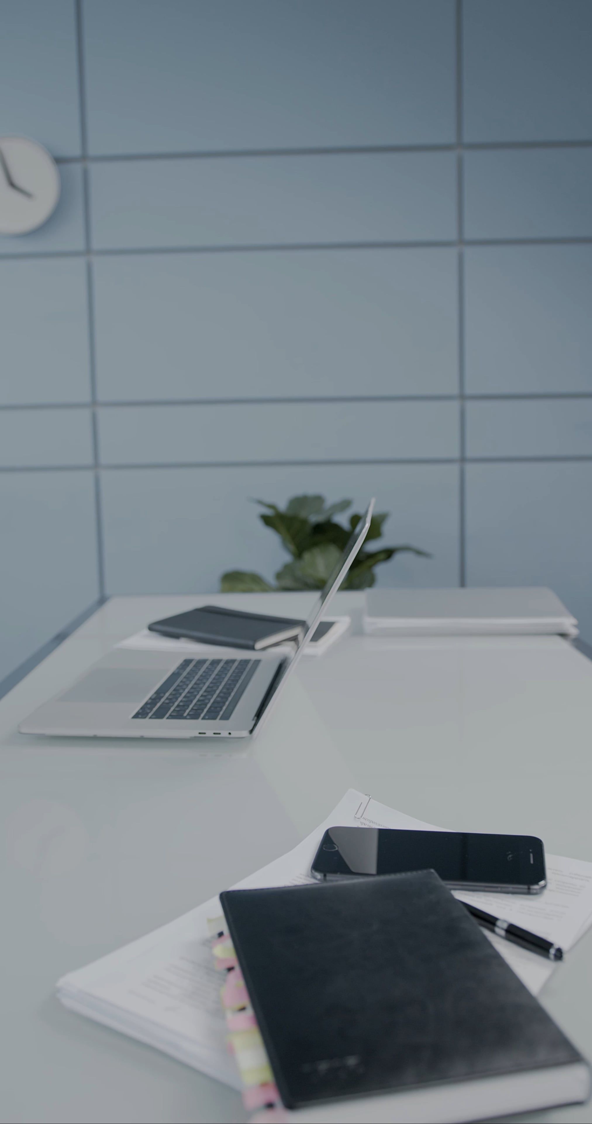 Video by KATRIN  BOLOVTSOVA