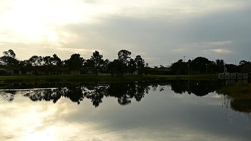 The  Stillness of the Water