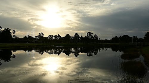 Lake in the Morning 