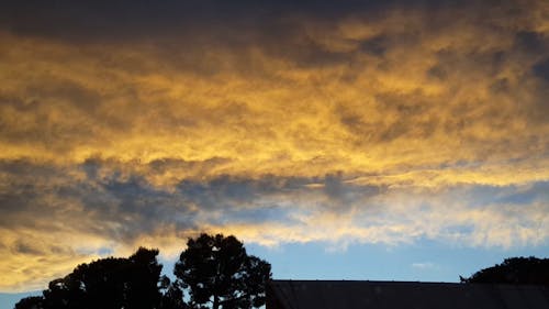 Sunset Sky With Golden Clouds