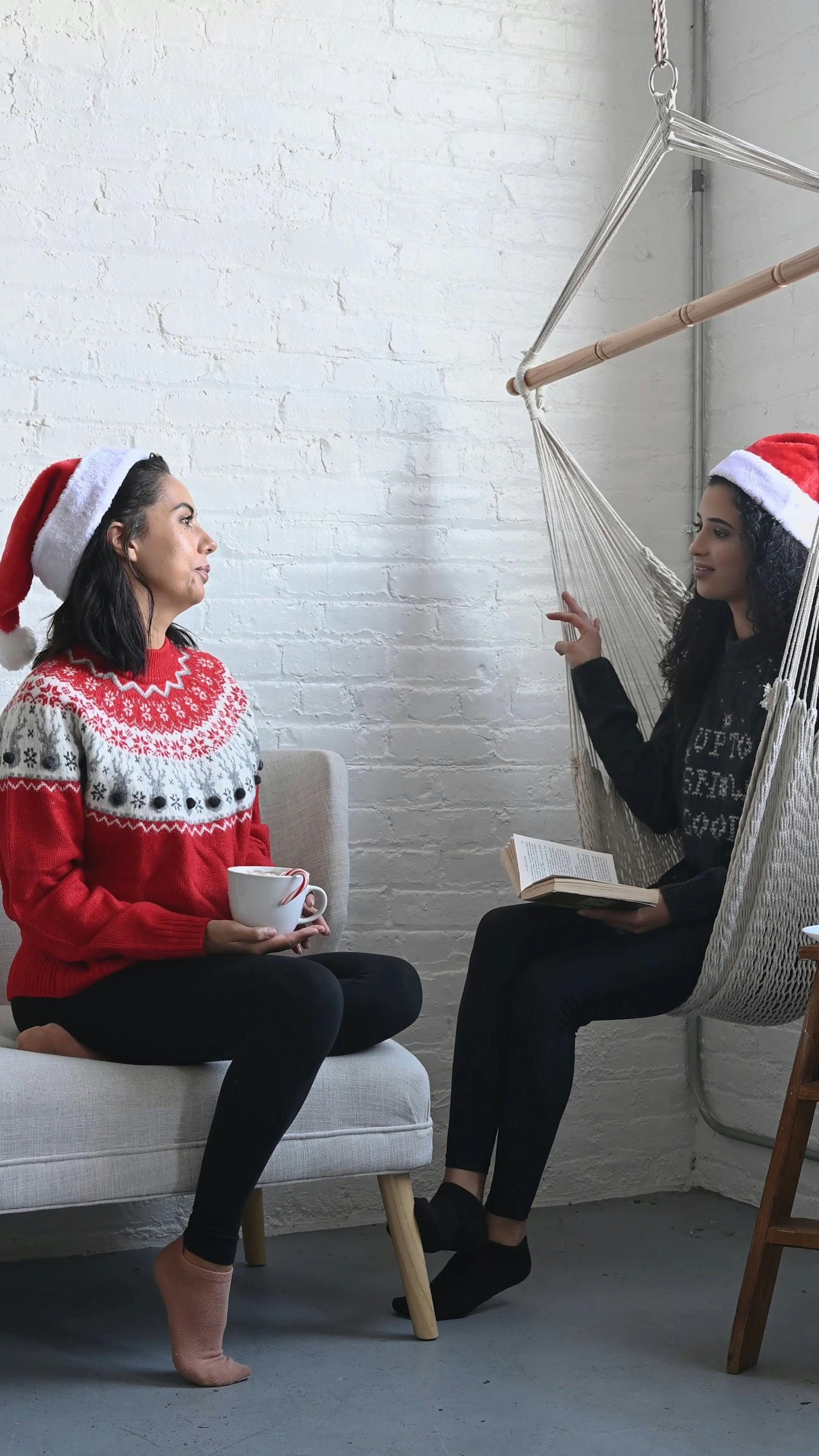 Women Dressed In Christmas Costume While Talking · Free Stock Video