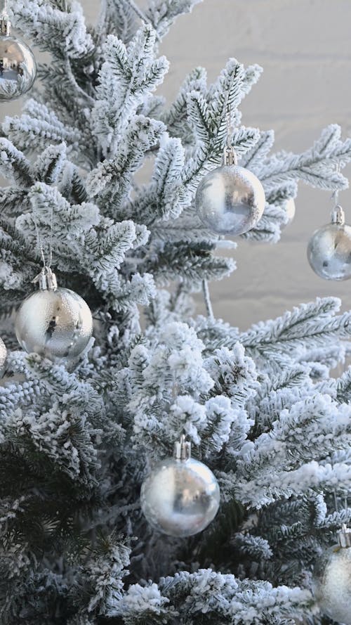 Grey Christmas Balls Hanging on Tree