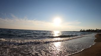 海边免费下载高清视频视频素材