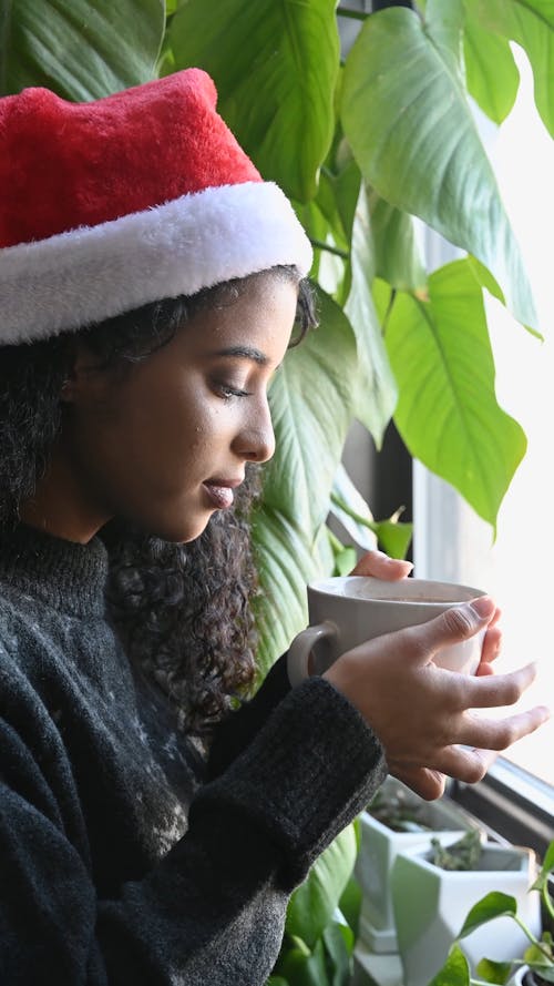 Woman Wearing Christmas Hat Looking Through Window