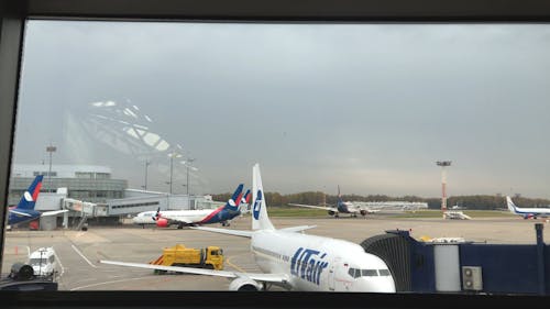 Airplanes Parked on Terminal