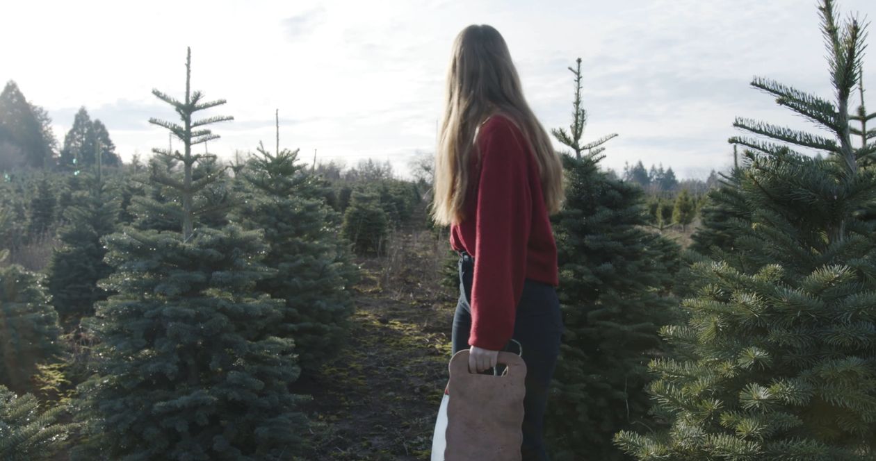 Woman Standing In a Field full of Small Trees Free Stock Video Footage ...