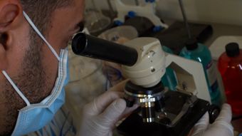 生物实验室高清视频高清视频视频素材