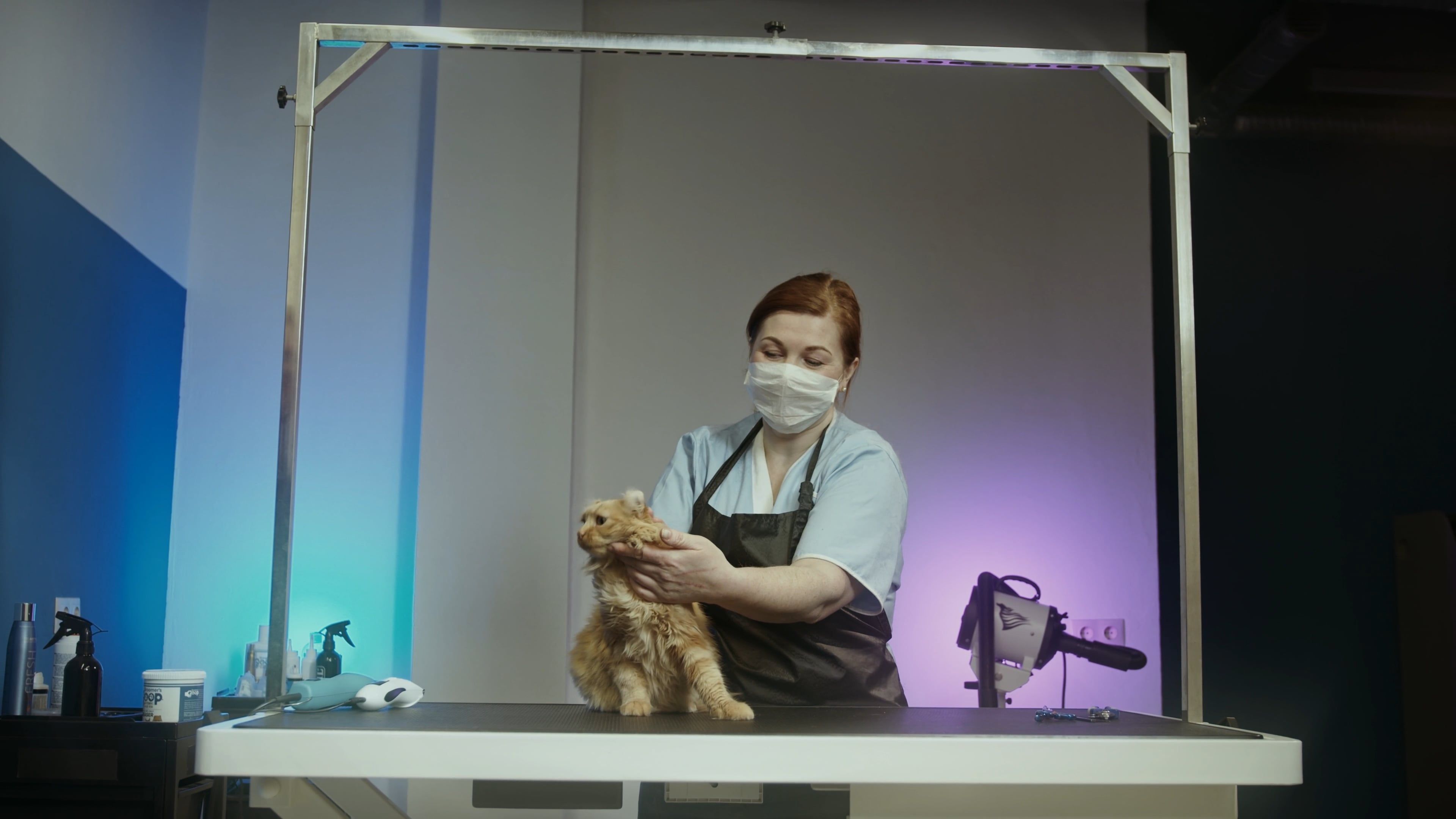 Pet Store video