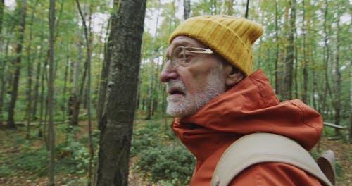 A Man Walking in the Woods