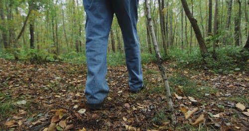 A Man Walking in the Woods